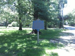 arden_-_early_summer_2014_4_20140611_1032396343