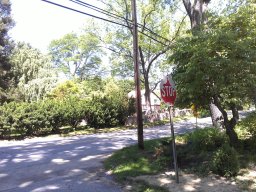 arden_-_early_summer_2014_5_20140611_1605886301