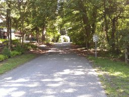 arden_-_early_summer_2014_6_20140611_1415822407