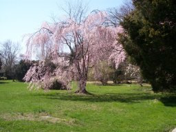 delaware_pictures_10_20140114_1752920219
