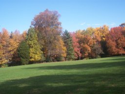 delaware_pictures_1_20140114_1507472317