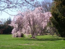 delaware_pictures_1_20140114_1573890964