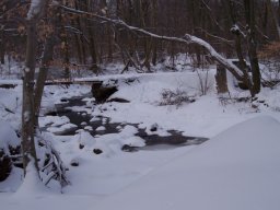 delaware_pictures_2_20140114_1104092189