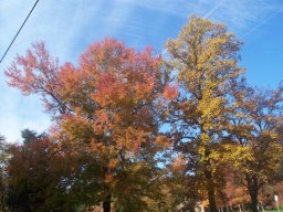 delaware_pictures_2_20140114_1715453124