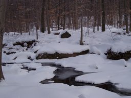 delaware_pictures_3_20140114_1872259126