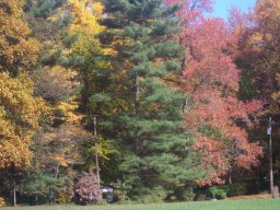 delaware_pictures_4_20140114_1383820904