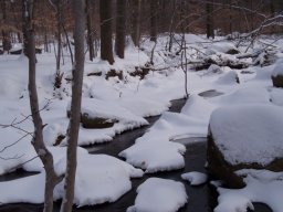 delaware_pictures_4_20140114_1545558299