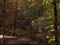 delaware_pictures_5_20140114_1111905738