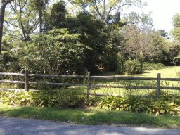 delaware_pictures_6_20140114_1426403616