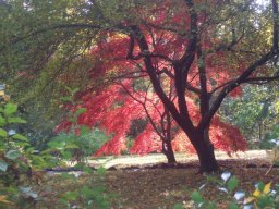 delaware_pictures_8_20140114_1399900832