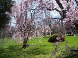 delaware_pictures_9_20140114_1088208424