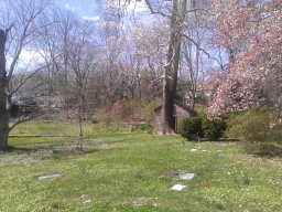 early_spring_2014_2_20140428_1340939613