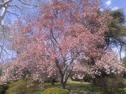 early_spring_2014_3_20140428_1469651773