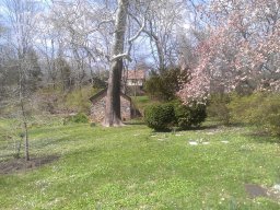 early_spring_2014_4_20140428_1496126170