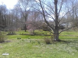 early_spring_2014_5_20140428_1247685400