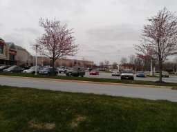 early_spring_2014_6_20140428_1467214560