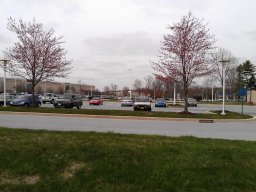 early_spring_2014_7_20140428_1561183196