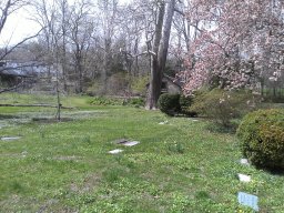 early_spring_2014_8_20140428_1223467202