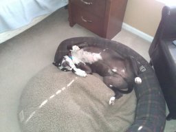 is_it_morning_already__1_20140611_1425624155