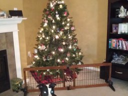 tux_at_christmas_1_20140119_1608326391