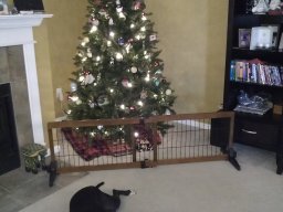 tux_at_christmas_2_20140119_1044457429