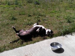 tux_relaxing_1_20140401_1937807771