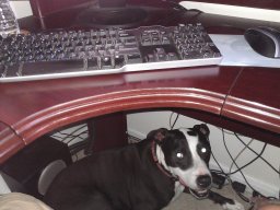tux_scared_of_thunder_-_hiding_under_my_desk_1_20140716_1918299570