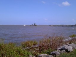 floridapictures_20140114_1139183000