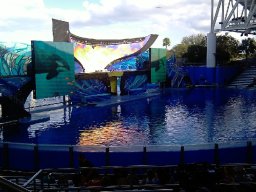 floridapictures_20140114_1403929928