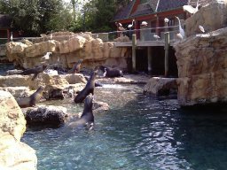 floridapictures_20140114_1825789587