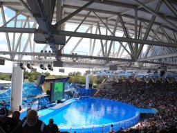 fun_at_seaworld_orlando_-_oct_2014_7_20141203_1763554811