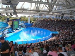 fun_at_seaworld_orlando_-_oct_2014_8_20141203_1626124568