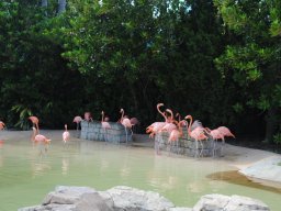 fun_at_seaworld_orlando_-_october_2014_2_20141203_1004690500