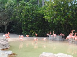 fun_at_seaworld_orlando_-_october_2014_3_20141203_1053571865