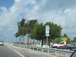 key_west_trip_spring_2014_20141108_1709251828