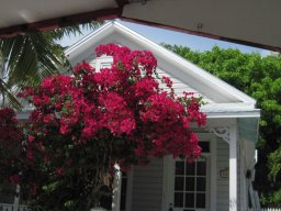 key_west_trip_spring_2014_20141108_1738830014