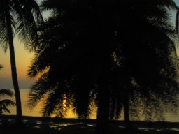 key_west_trip_sprint_2014_2_20141108_1438168198