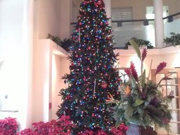 lido_beach_fl_-_new_years_weekend_2013_2014_5_20140123_1742024940