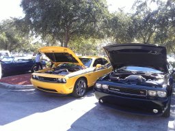 local_car_show_jacksonville_fl_fall_2013_1_20140127_1002035687