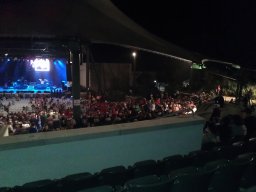 local_car_show_jacksonville_fl_fall_2013_3_20140127_1899055222