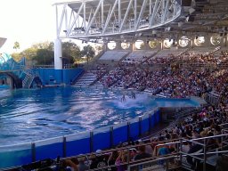 sea_world_fl_-_fall_2011_1_20140123_1838287102