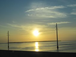 some_snapshots_on_the_way_to_key_west_fl_june_2014_6_20140818_1761097137