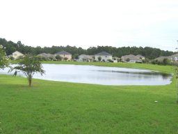 this_is_where_i_live_20140224_1564218866