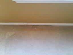 water_damage__3_20160704_2099176727