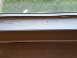 water_damage__5_20160704_1364428819