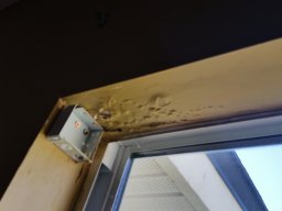 water_damage__6_20160704_1849975055