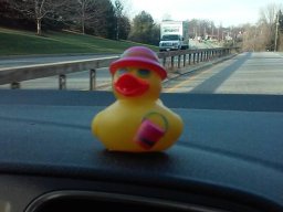 got_our_duck_in_a_row_d_1_20150120_2077265740