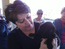 karen_showing_puppy_love_1_20140611_1155953631