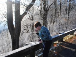 snow_blue_ridge_pkwy_dec_2014_1_20150120_1039323003