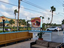 2015_pictures_9_20160622_1224864644